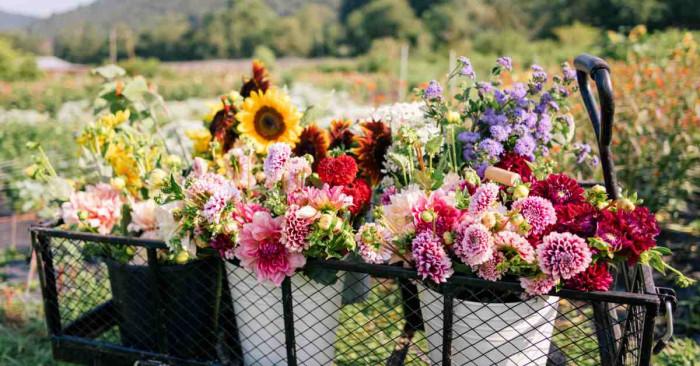 Удовлетворението да видиш как пониква живот