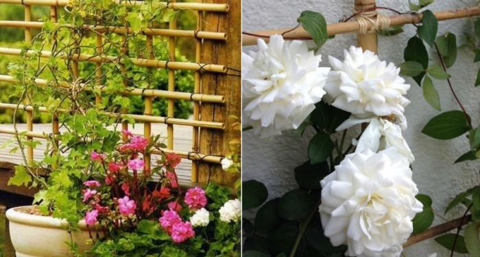 Градина с бамбукови аксесоари