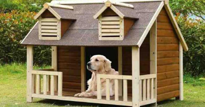 5 съвета за комфорта на вашия домашен любимец, обитаващ колибка в градината