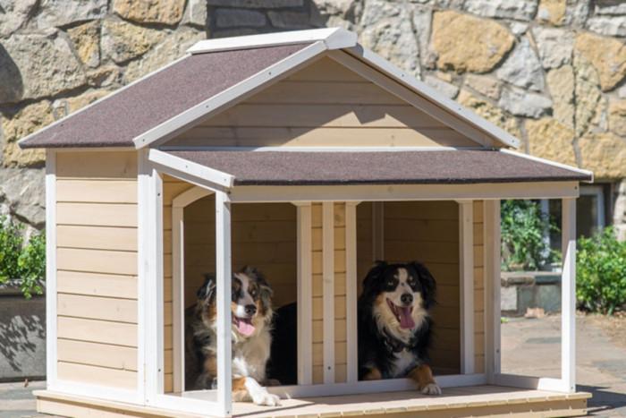 Потребностите растат, а заедно с тях и членовете на семейството