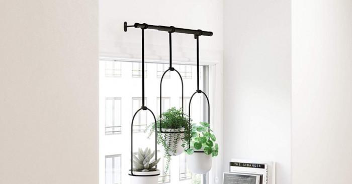 Модерни тенденции във вертикалните градини