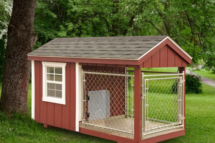 Как да следваме заветите на Майката Природа?