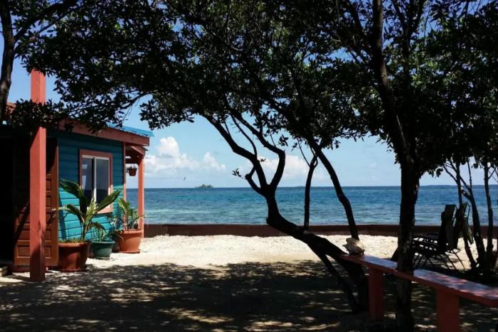 Какво ще получите срещу парите си?