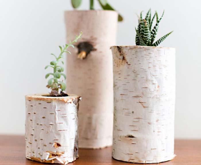 Какво е необходимо за направата на саксия от пънче?