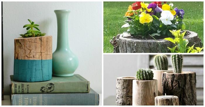 Как да си направим интересна саксия от дървесно пънче