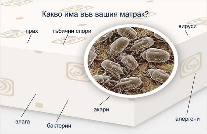 Защо е важно да почистваме матрака?