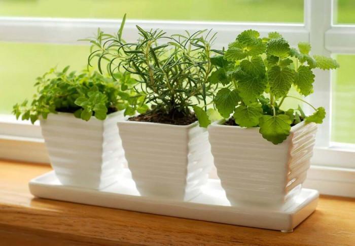 Изберете слънчево място