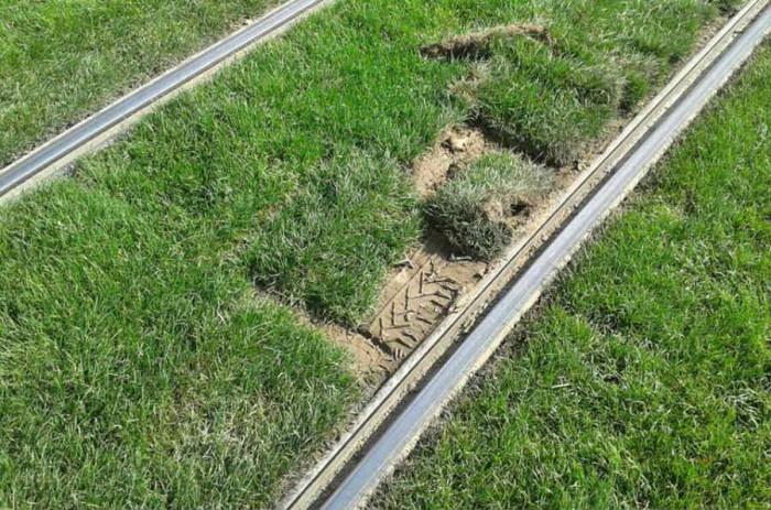 Златни релси