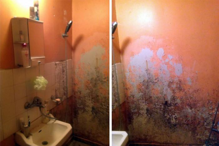 Клиентите говорят