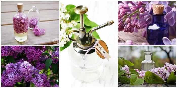 Люляк е вълшебна дума