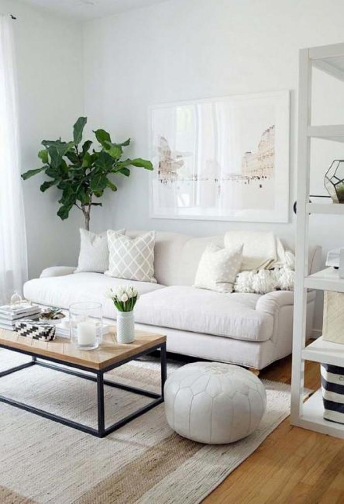 Бяло и компактно