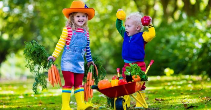 Зеленчукова градина на балкона - как и какво да засадим?