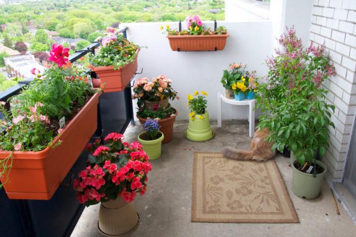 Пролетта - сезонът, в който всичко се пробужда