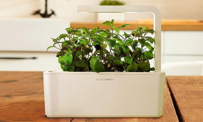 Гениални саксии отглеждат сами зеленчуци и подправки