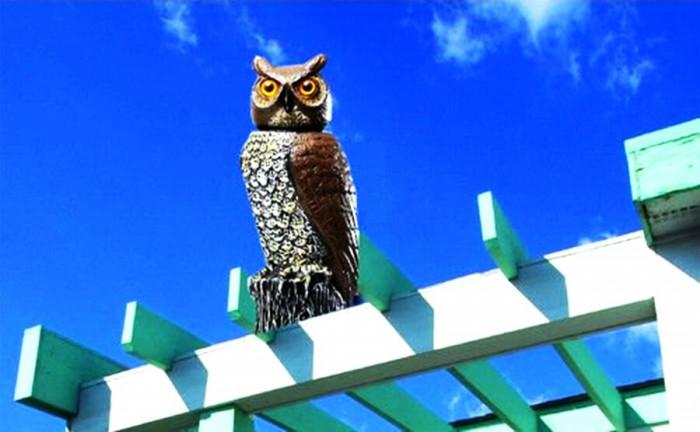 Електронни сови се борят срещу вредителите