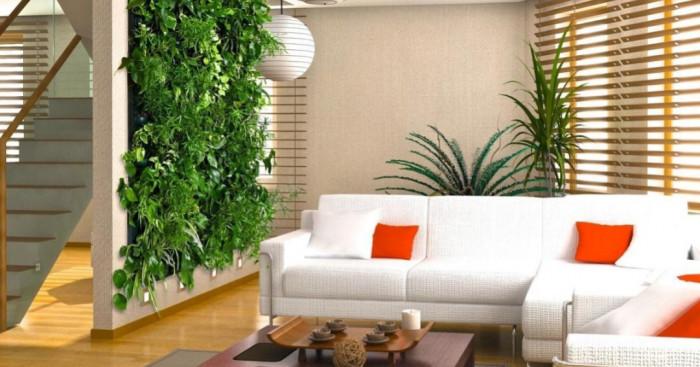 Изберете правилно място за вертикална градина