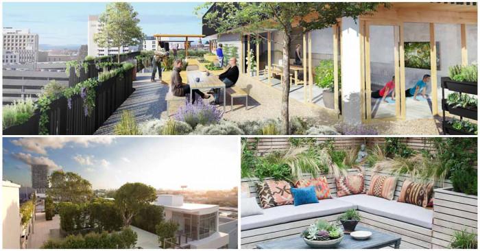 На върха, там, над света - 5 съвета за съвършената градина на покрива