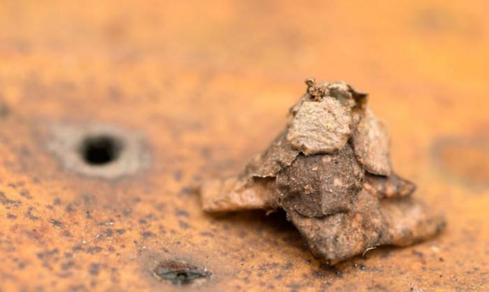 Палатка насред джунглата