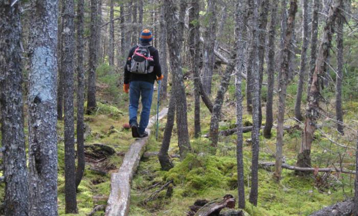 Компас - за истински пътешественици
