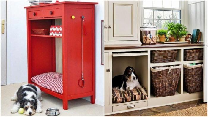 Кучешко царство, побрано в шкаф