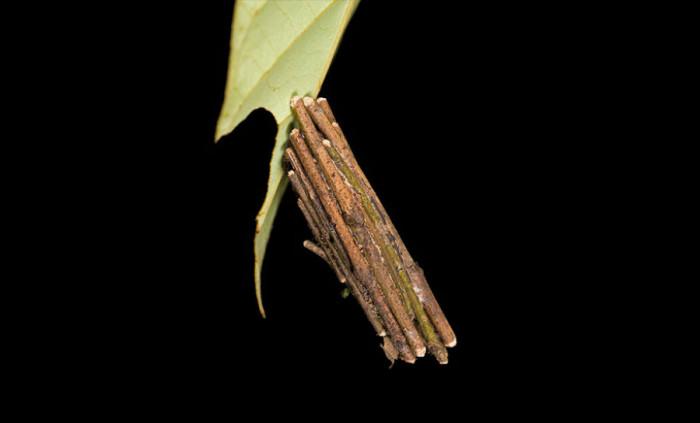 Цяла крепост, увиснала над пропастта