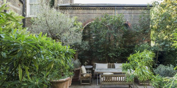 С грижа и внимание към всяко стръкче в градината на покрива