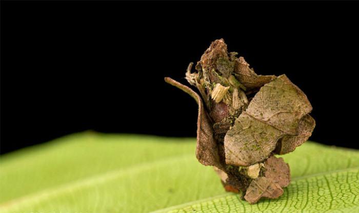 Артистичен подход