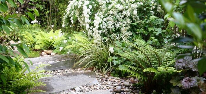 Красиви цветя, които са приятели със сянката