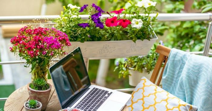 Красиви цветя за всяка тераса