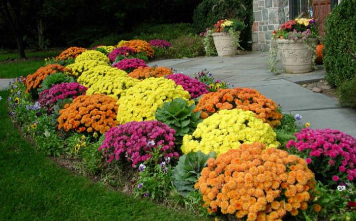 Отстранете едногодишните растения