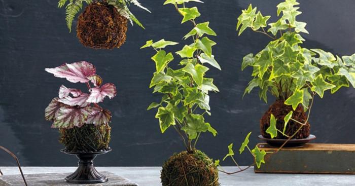 Стъпка 5: Намерете място в декора на дома