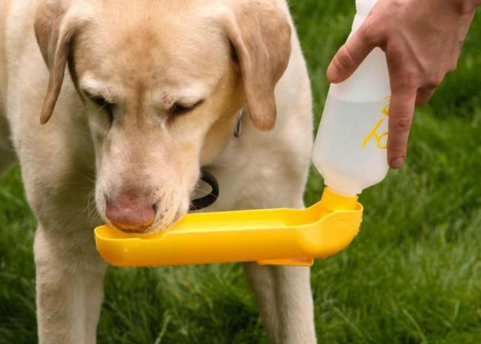 Задължително вода