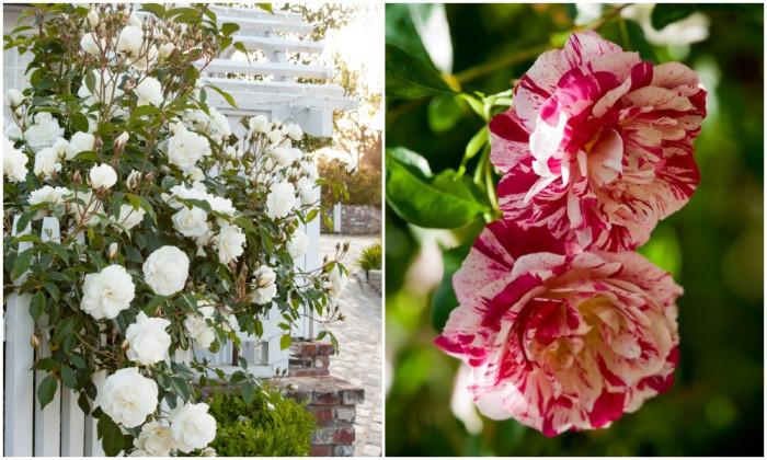 3. Интересувайте се и търсете информация