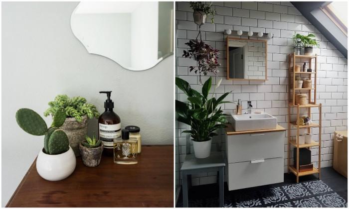 Добавете растения в банята си