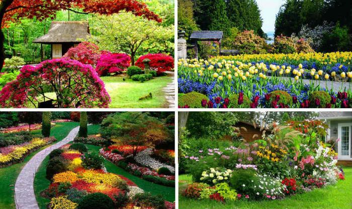 Как да засадите красива градина - съвети за начинаещи