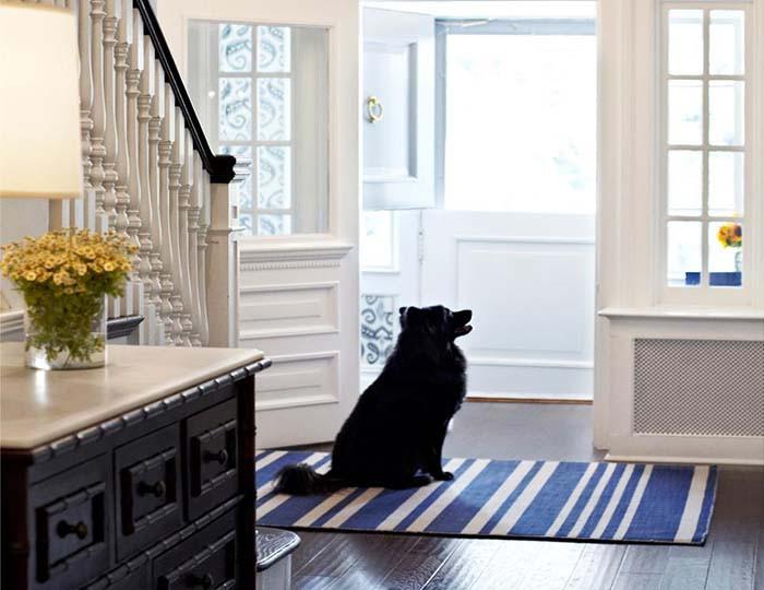 Спретнато и чисто антре, макар и с домашен любимец