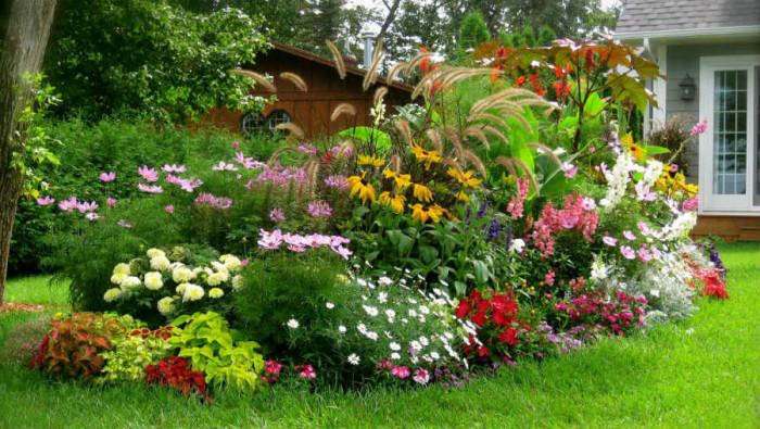 Определете размер и височина