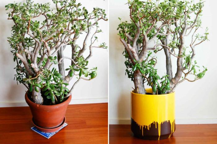 Разкошна артистична саксия за любимото ви растение в дневната