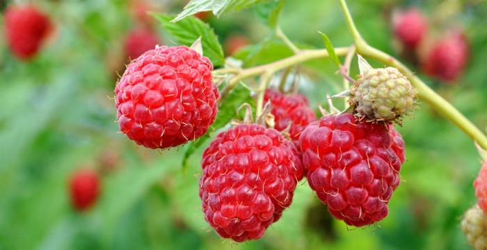 Разбирането идва, когато имаш търпение да се вслушаш