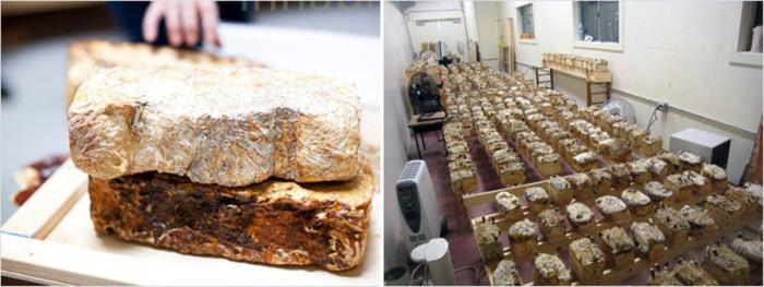 Реализирането на един амбициозен проект