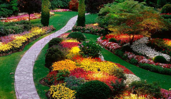 Заложете на сезонни цветя