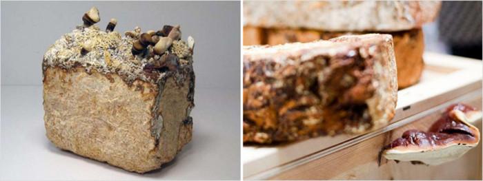 Креативността ражда резултати