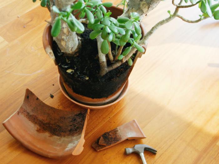 Преместването