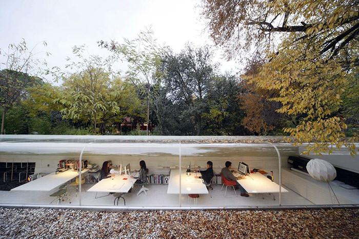 Креативен офис сред природата