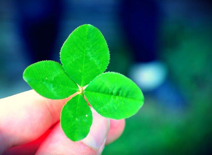 7 начина да поканите късмета у дома