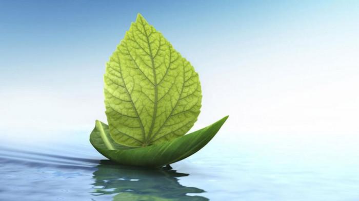 Ползи от развитието на зеленото строителство