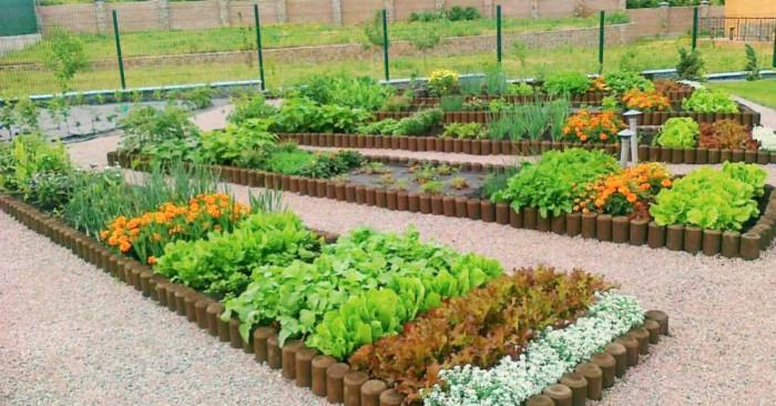 Зеленчуковата градина