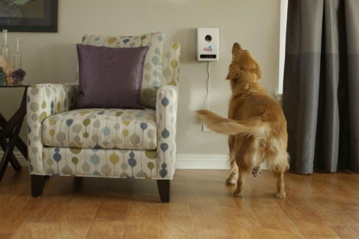 За кого е подходяща тази джаджа?