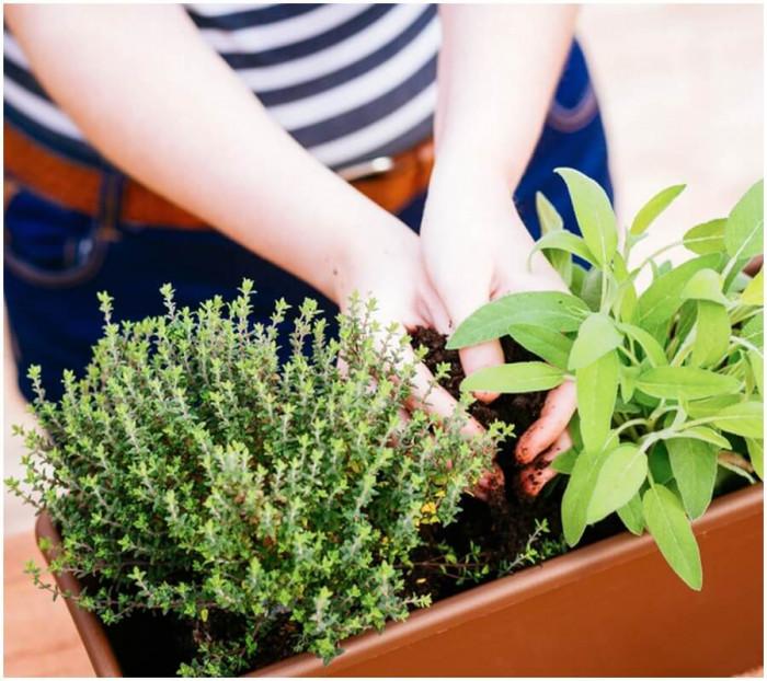 Заложете на минималната поддръжка!