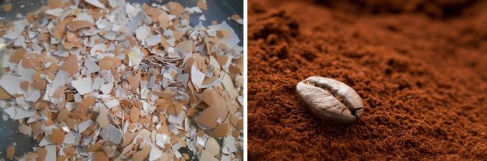 Кафеени зърна